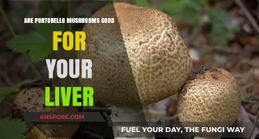 Portobello Mushrooms and Liver Health: Benefits, Nutrition, and Facts