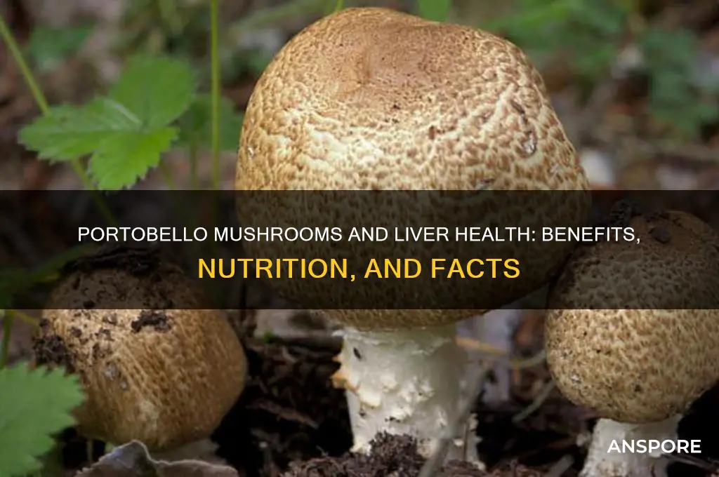 are portobello mushrooms good for your liver