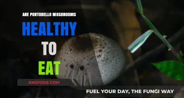 Portobello Mushrooms: Nutritional Benefits and Health Impacts Explained