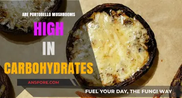 Are Portobello Mushrooms High in Carbs? Nutritional Facts Revealed