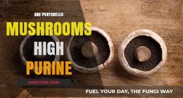 Are Portobello Mushrooms High in Purine? A Nutritional Breakdown