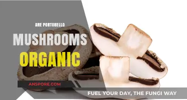 Are Portobello Mushrooms Organic? Exploring Cultivation and Certification