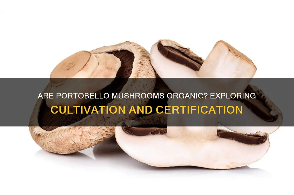 are portobello mushrooms organic
