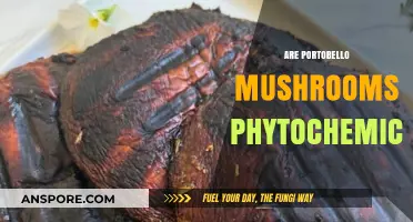 Exploring Portobello Mushrooms: Unveiling Their Phytochemical Secrets and Benefits