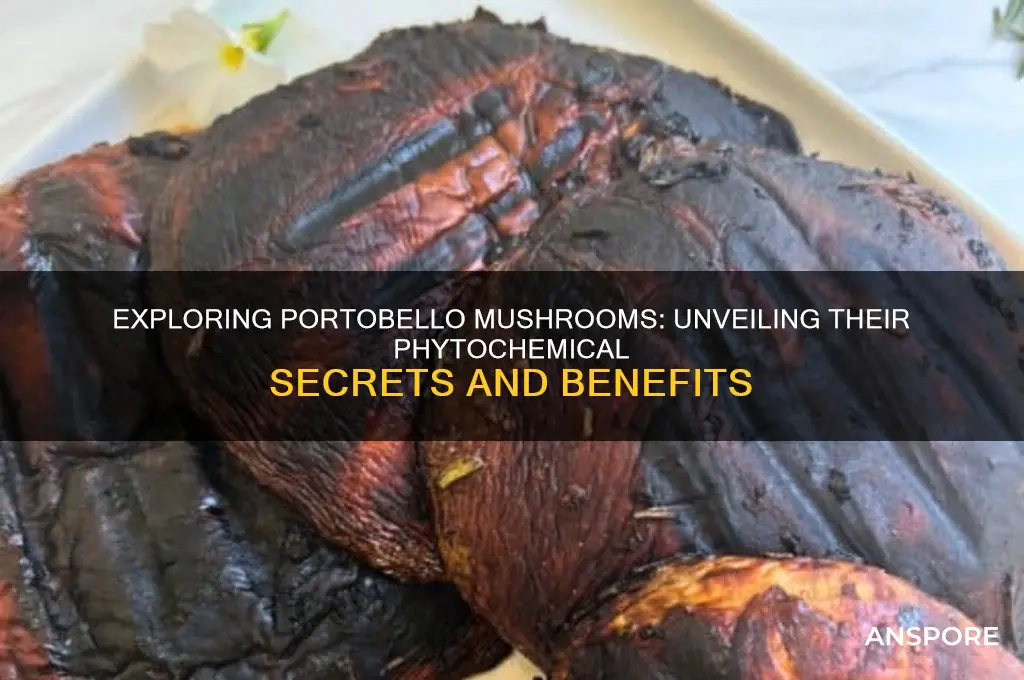 are portobello mushrooms phytochemicals