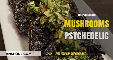 Are Portobello Mushrooms Psychedelic? Unveiling the Truth Behind the Myth
