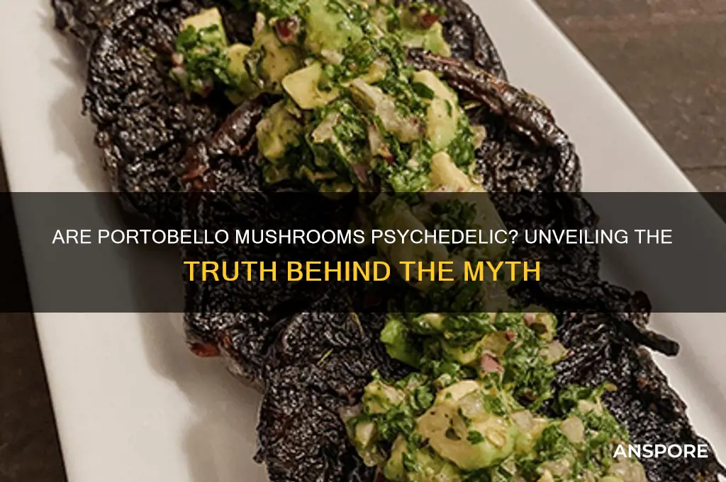 are portobello mushrooms psychedelic
