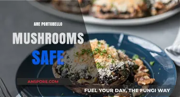 Are Portobello Mushrooms Safe? A Comprehensive Guide to Their Benefits and Risks