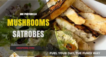 Are Portobello Mushrooms Strobes? Unraveling the Culinary Confusion