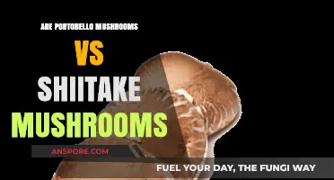 Portobello vs. Shiitake: Comparing Flavor, Nutrition, and Culinary Uses