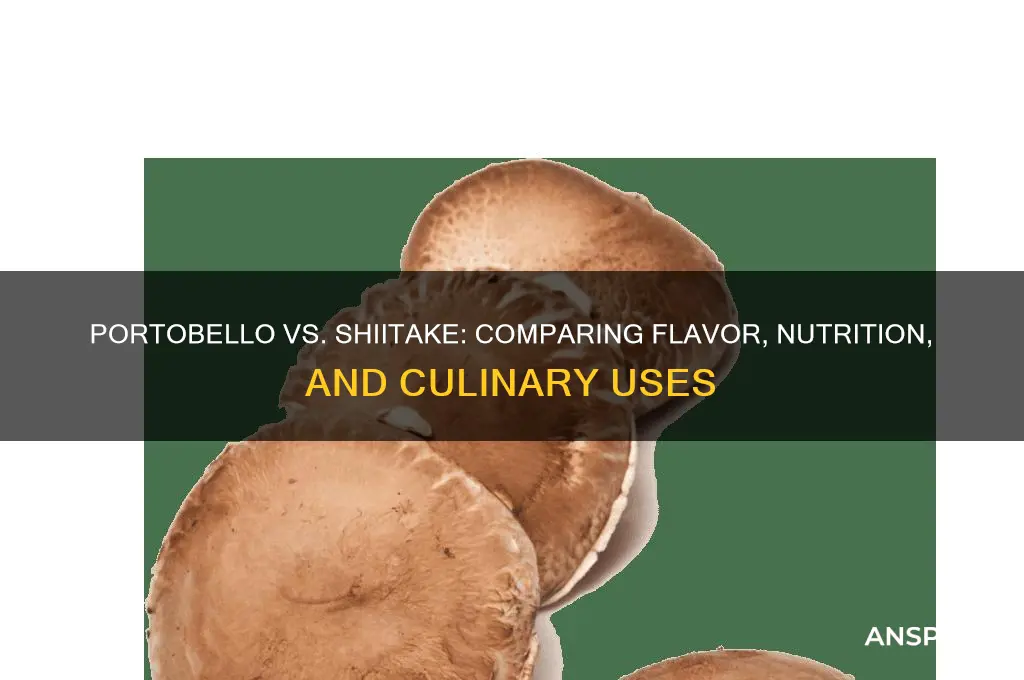 are portobello mushrooms vs shiitake mushrooms