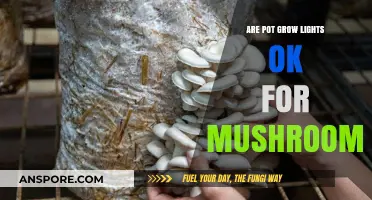 Can Pot Grow Lights Successfully Cultivate Mushrooms? A Detailed Analysis