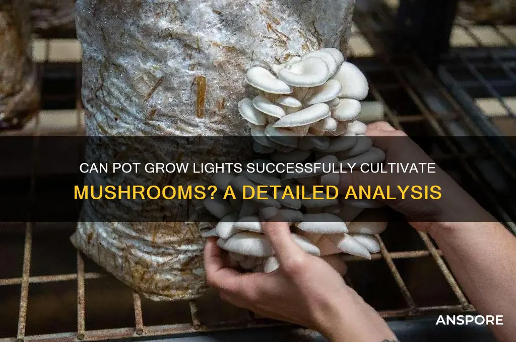 are pot grow lights ok for mushrooms