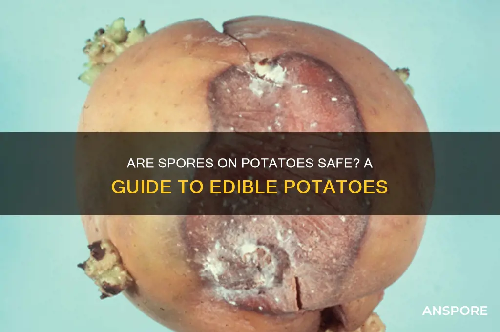 are potatoes with spores safe to eat
