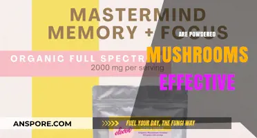 Mushroom Powder: Effective Superfood or Just a Fad?