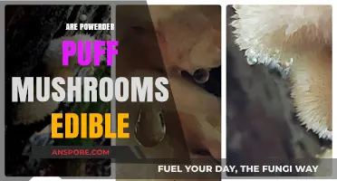 Are Powder Puff Mushrooms Edible? A Comprehensive Guide to Safety