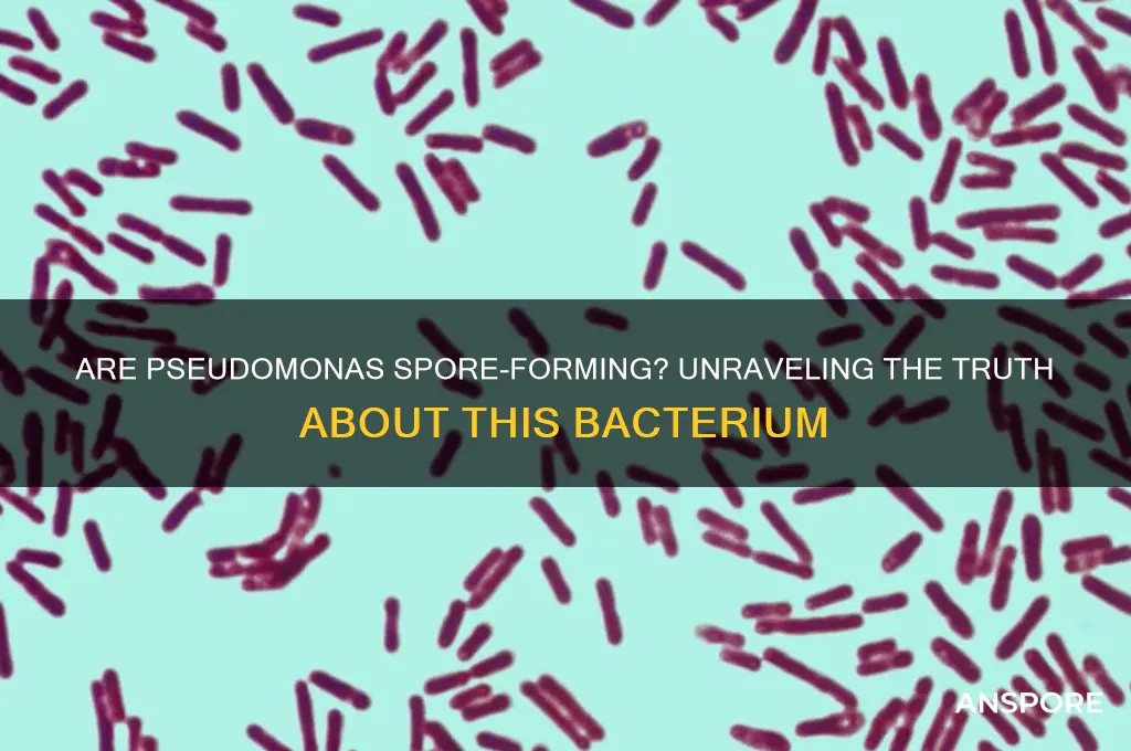 are pseudomonas spore forming