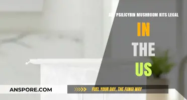 Are Psilocybin Mushroom Kits Legal in the US?