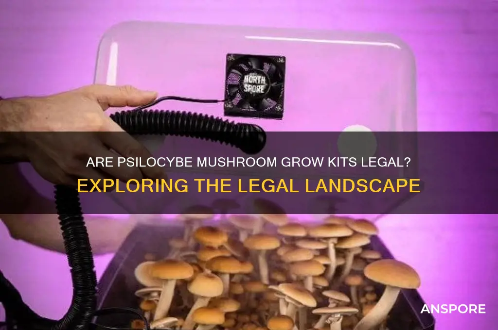 are psilocybe mushroom grow kits legal