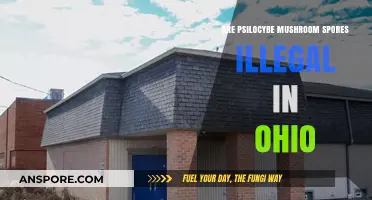 Ohio's Laws on Psilocybe Mushroom Spores: What's the Verdict?