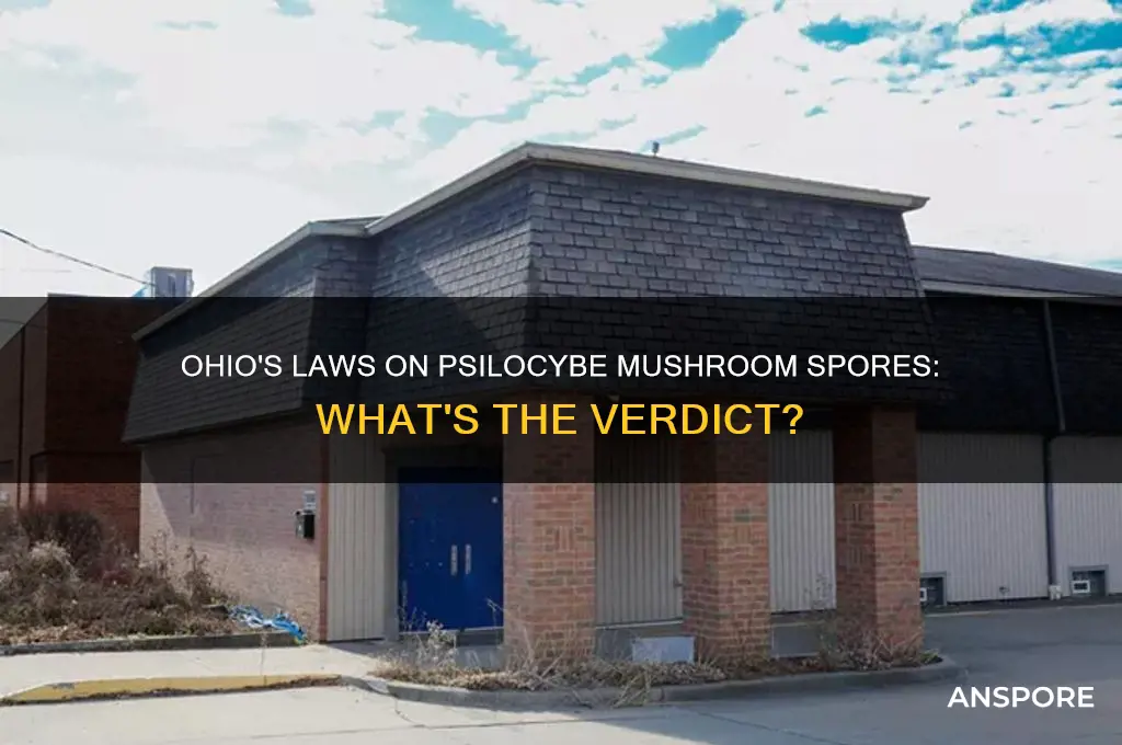 are psilocybe mushroom spores illegal in ohio