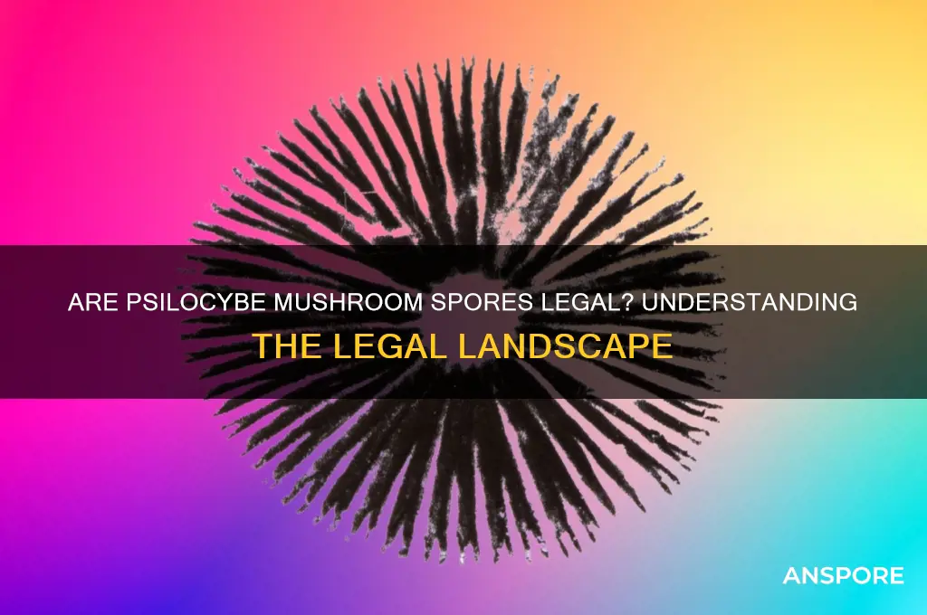 are psilocybe mushroom spores legal