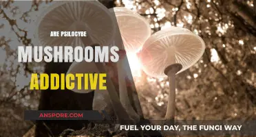 Magic Mushrooms: Addictive or Not?