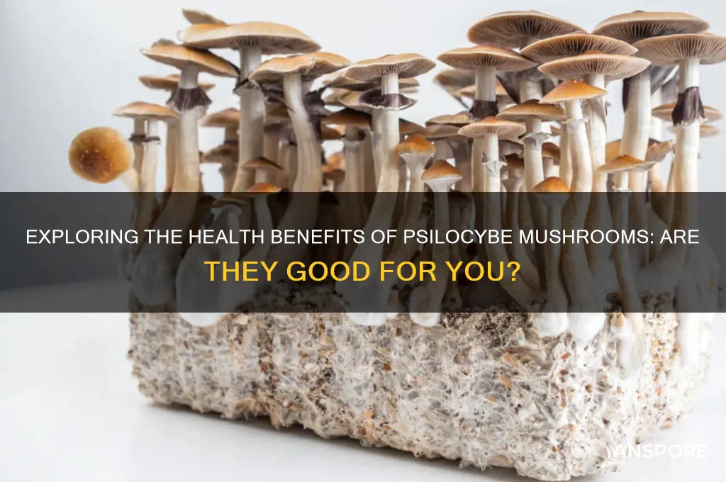 are psilocybe mushrooms good for you