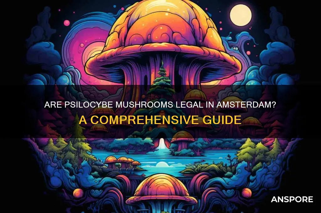 are psilocybe mushrooms legal in amsterdam