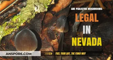 Psilocybe Mushrooms in Nevada: Legal Status and Current Regulations
