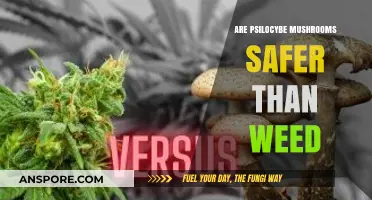 Psychedelics vs. Weed: Which Is Safer?