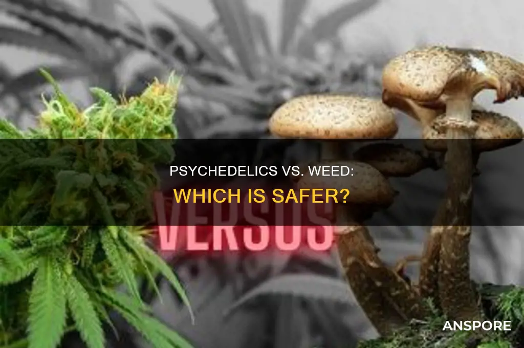 are psilocybe mushrooms safer than weed