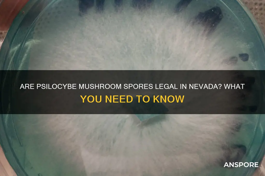 are psilocybe mushrooms spores legal in nevada