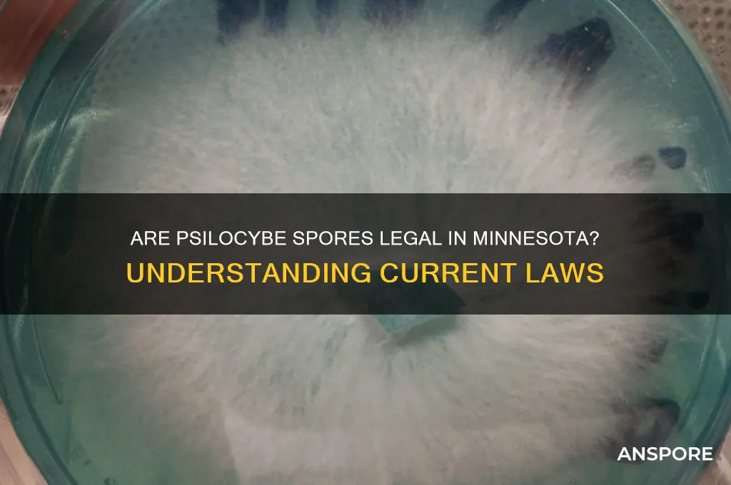 are psilocybe spores legal in minnesota