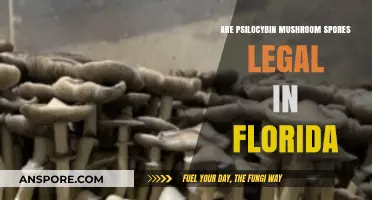 Are Psilocybin Mushroom Spores Legal in Florida? A Comprehensive Guide