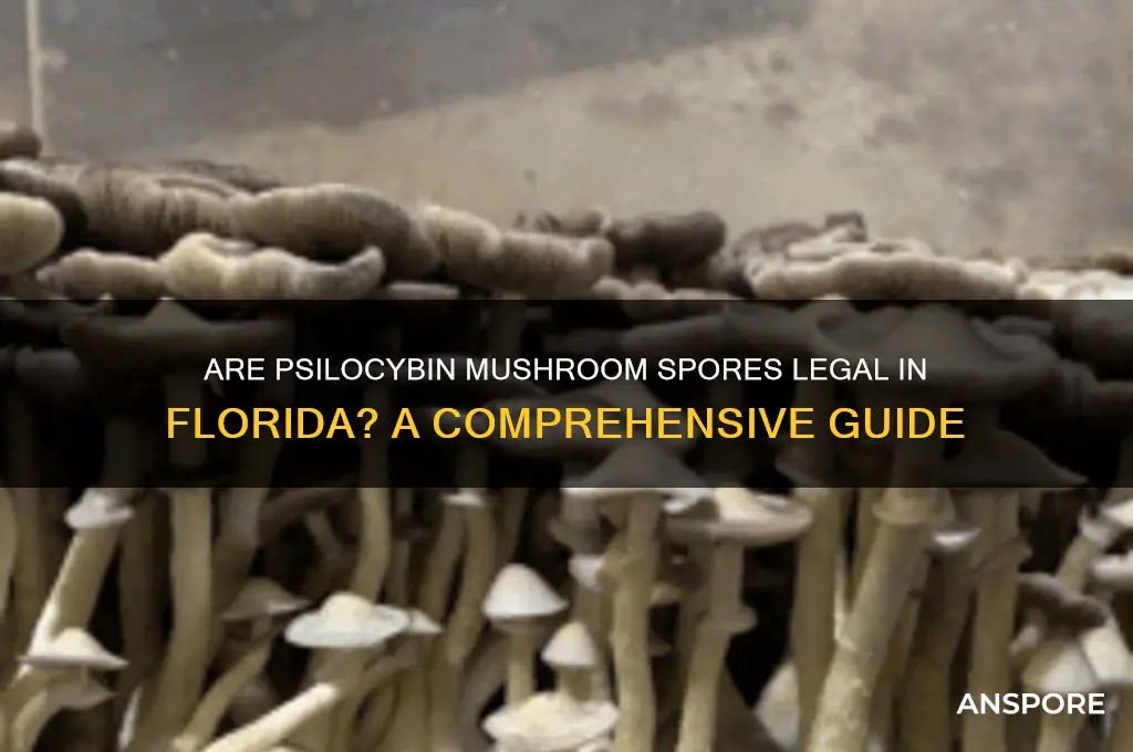 are psilocybin mushroom spores legal in florida