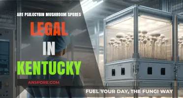 Are Psilocybin Mushroom Spores Legal in Kentucky? Exploring the Law