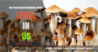 Are Psilocybin Mushroom Spores Legal in the US?
