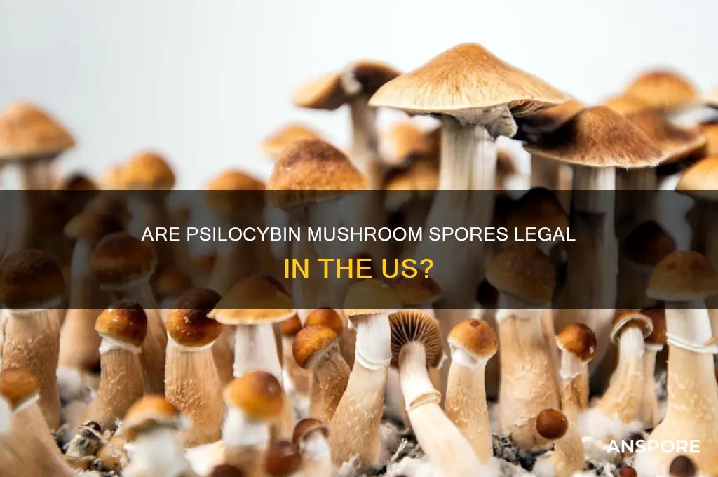 are psilocybin mushroom spores legal in us