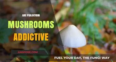 Magic Mushrooms: Addictive or Not?