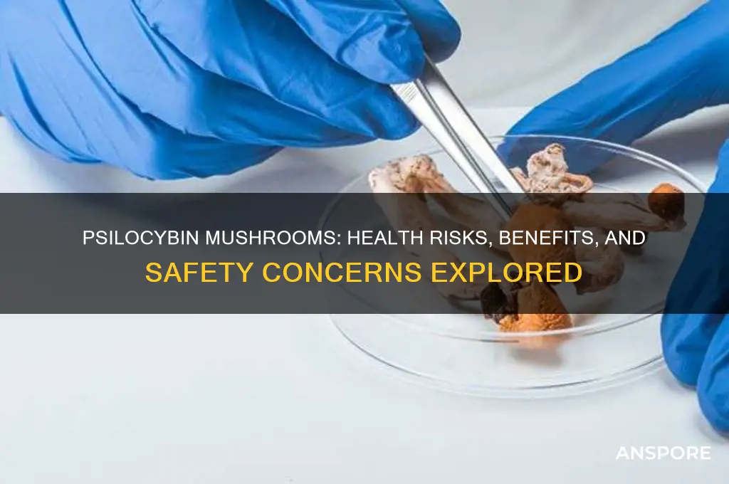 are psilocybin mushrooms bad for you