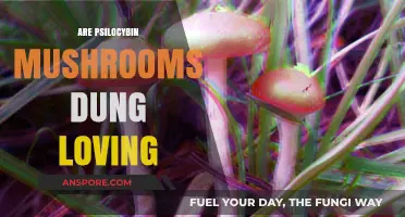 Mushrooms and Manure: The Magic Connection