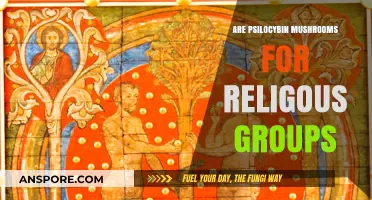 Magic Mushrooms: Religious Groups and Their Use