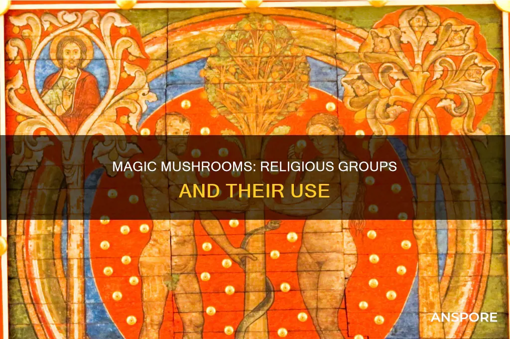 are psilocybin mushrooms for religous groups