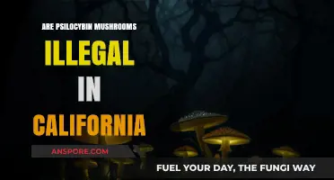 California's Stance on Magic Mushrooms: Legal or Not?
