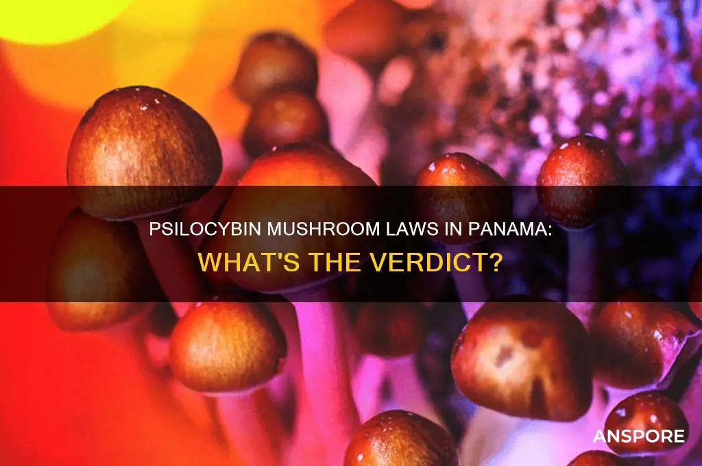 are psilocybin mushrooms illegal in panama