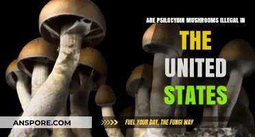 Magic Mushrooms: Illegal in the USA?
