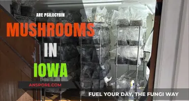 Iowa's Psilocybin Mushroom Laws: What You Need to Know