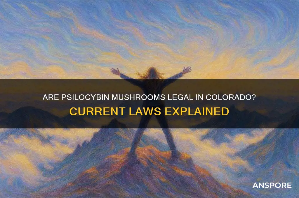 are psilocybin mushrooms legal in colorado