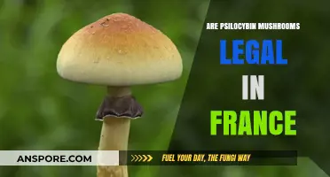 Psilocybin Mushrooms in France: Legal Status and Regulations Explained